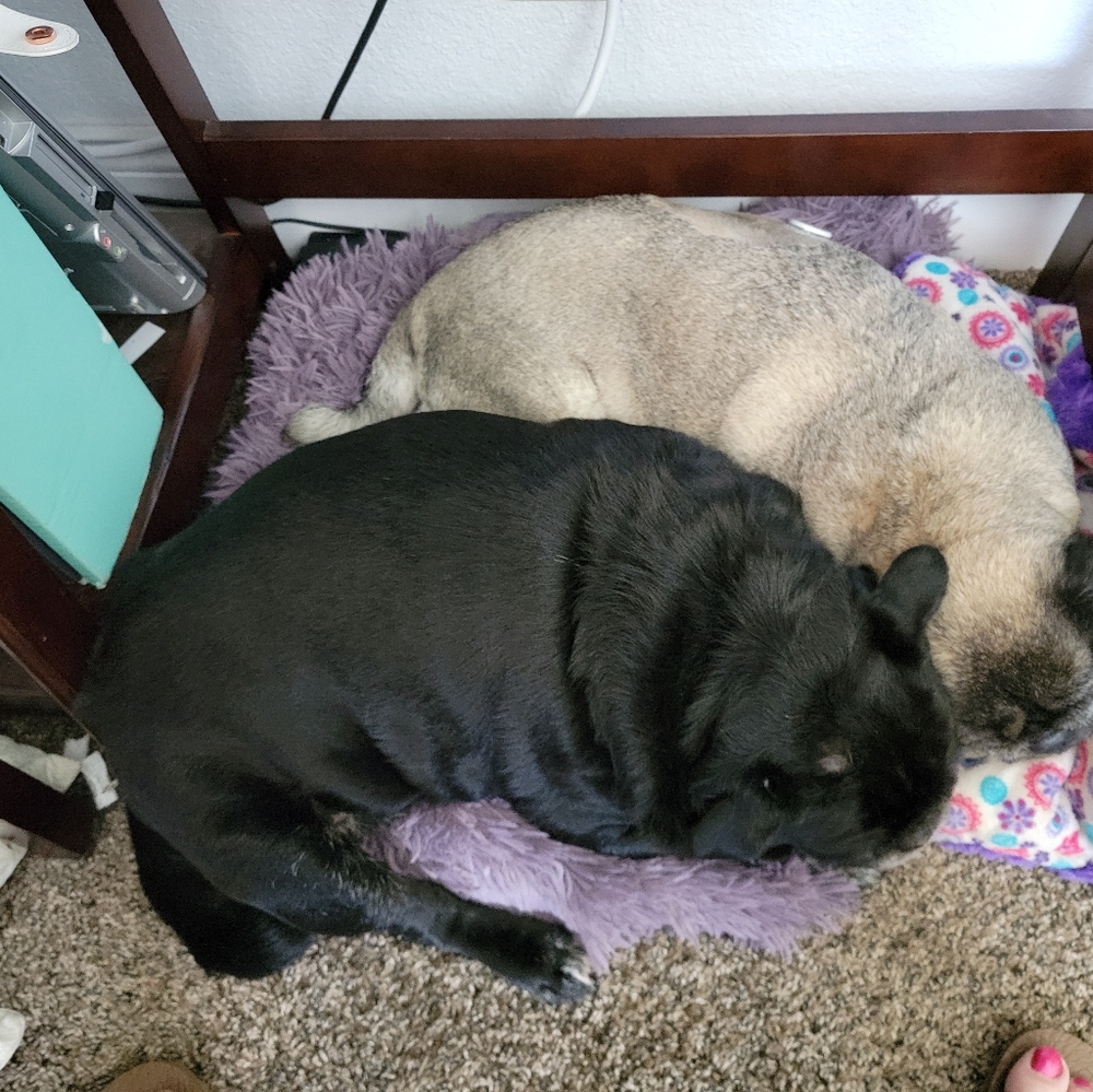 Welcome to Steampug Secondhand and Vintage